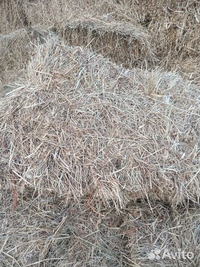 Сено в тюках