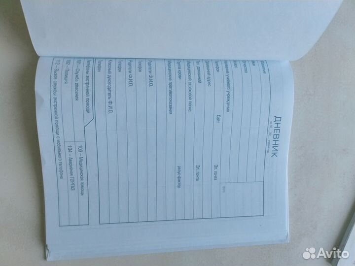 Дневник в школу