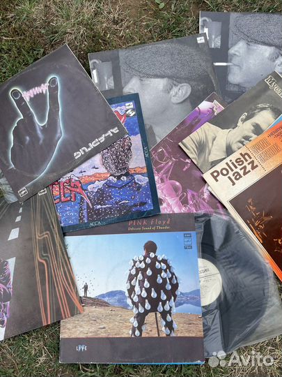 Виниловые пластинки цена за все