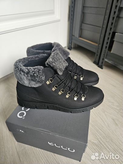 37 новые ботинки ecco bella