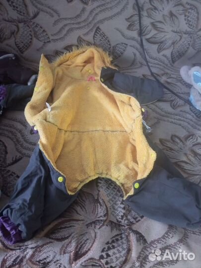 Зимняя одежда для собак