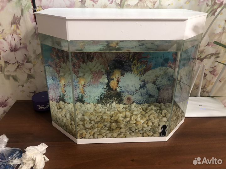 Аквариум