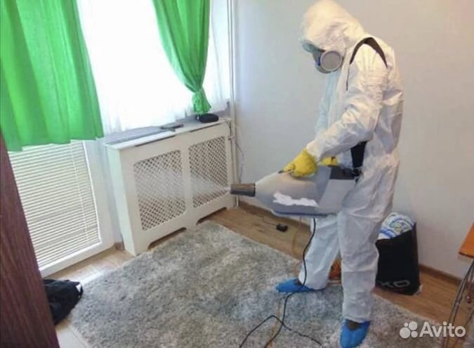 Уничтожение тараканов, клопов, блох, клещей