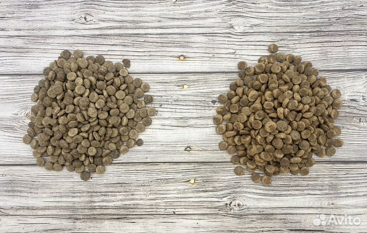 Сухой корм для собак PapaDog