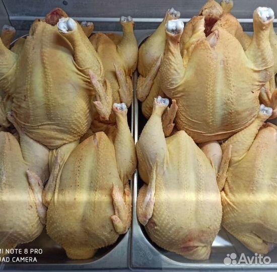 Курица фермерская розница