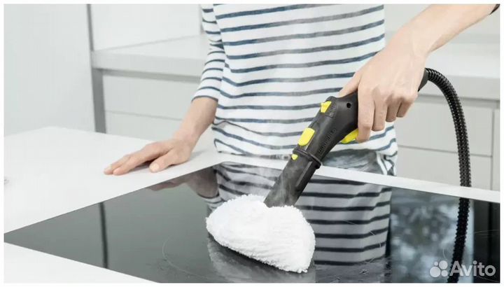 Аренда пароочистителя karcher