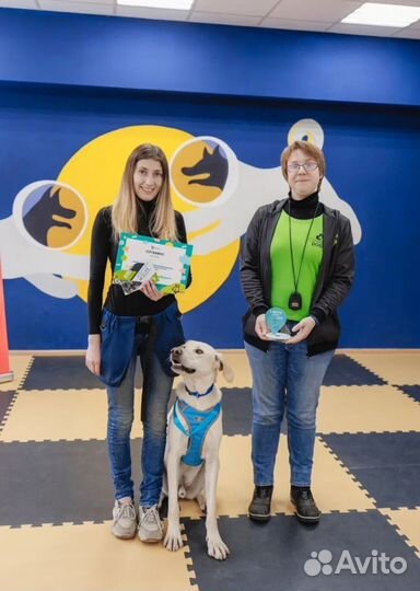 Mary Hvostins (дрессировка/кинолог/зоопсихолог)