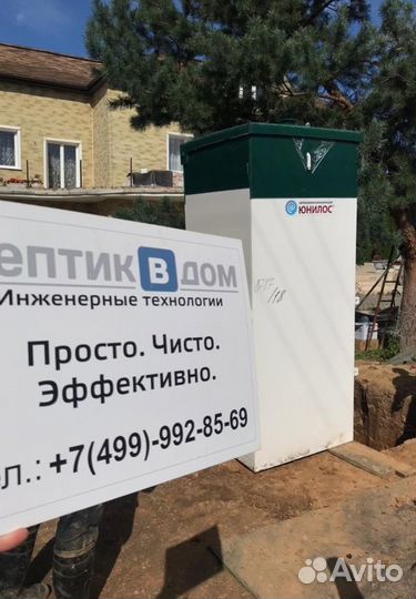 Септики кит