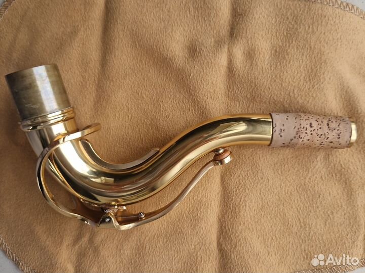 Саксофон для начинающих Roy Benson AS-201