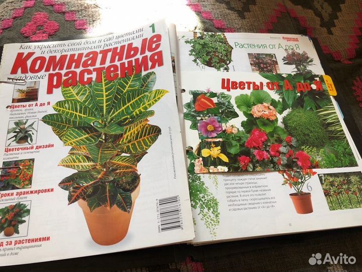 Комнатные растения. Сборник текстов и иллюстраций