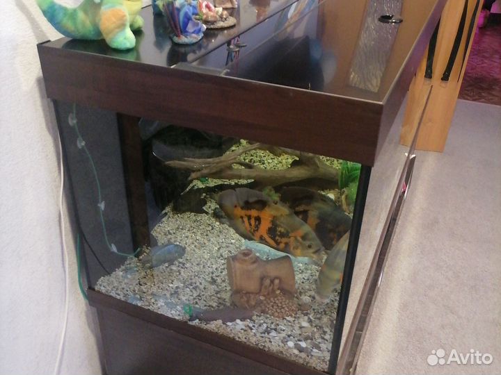 Аквариум с тумбой 600 литров