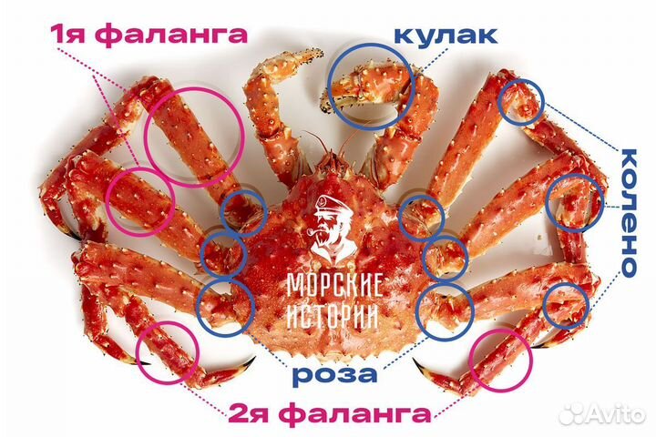 Кулаки крабов