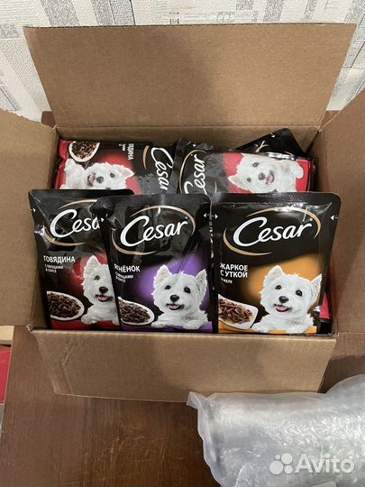 Корм для собак чит описание