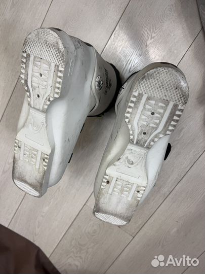 Горнолыжные ботинки Head raptor 250-255