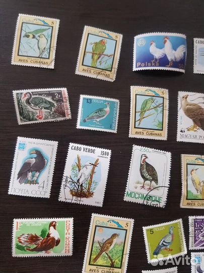 Почтовые марки СССР и других стран с птицами