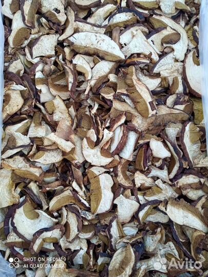 Белый сушеный гриб оптом пасечник