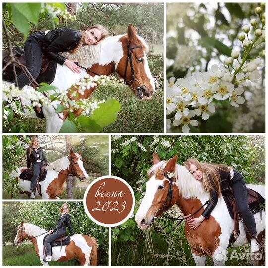 Прогулки на лошадях (лес), обучение (крытый манеж)