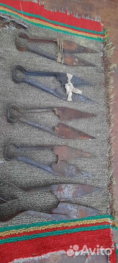 Ножницы для стрижки овец