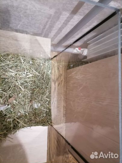 Аквариум/террариум для грызунов