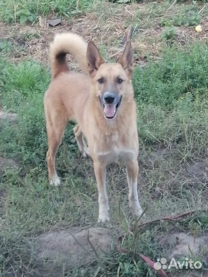 Ищем заботливую семью