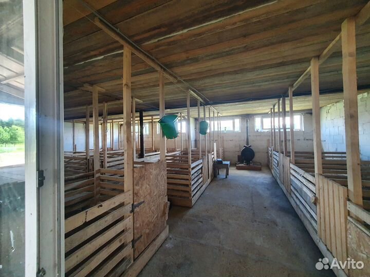 Фермерское хозяйство - Сыроварня и козья ферма