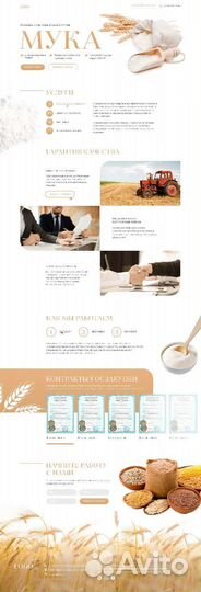 Создание и продвижение сайтов