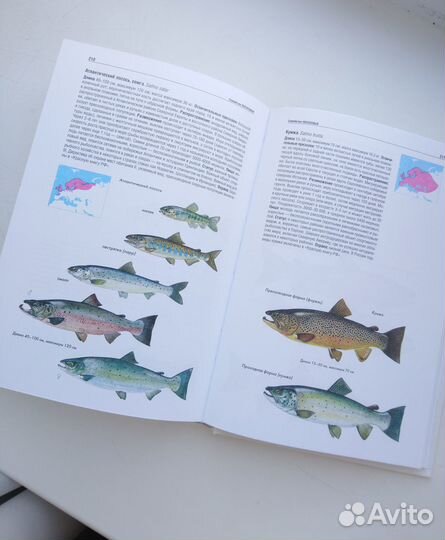 Атлас-определитель пресноводных рыб