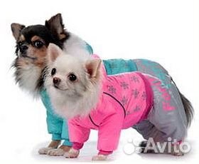 Одежда и обувь для Вашего питомца