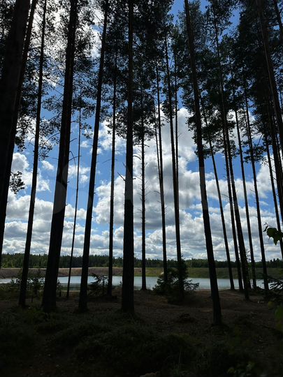 Участок 8 сот. (СНТ, ДНП)