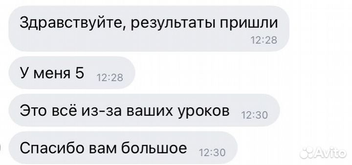 Репетитор по русскому языку И литературе