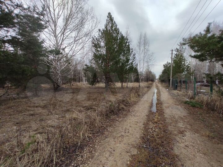 Участок 10 сот. (СНТ, ДНП)
