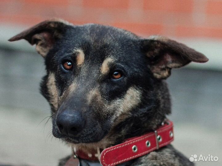 Завтра ждет улица