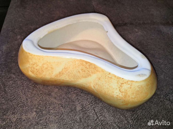 Ракушки декоративные