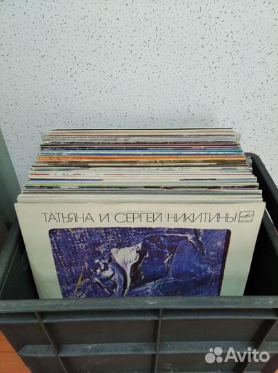 Виниловые пластинки. Барды