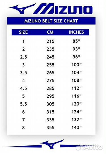 Коричневый пояс дзюдо mizuno