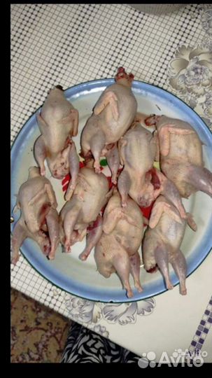 Перепела и мясо