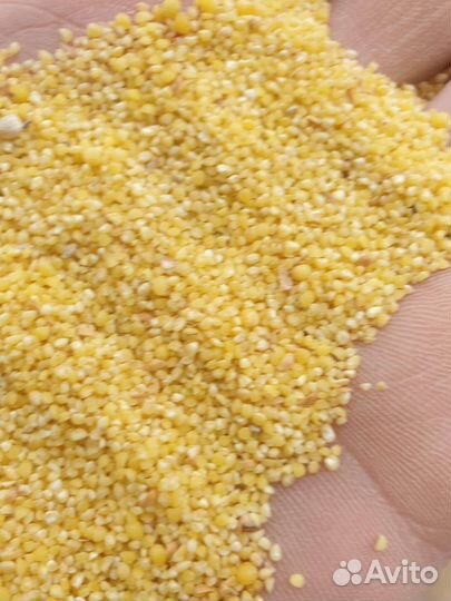 Гречка, пшено, рис, гречневый продел, рис