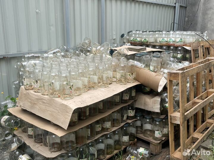 Стеклянная банка 1.8