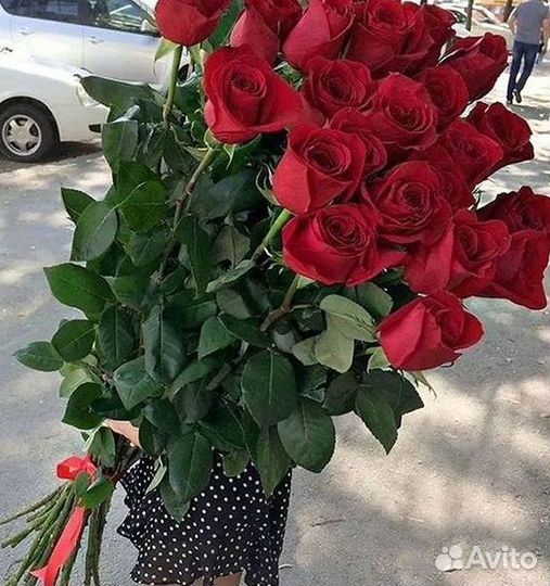 Розы гиганты 140 150 160 170 180 200