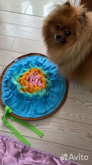 Поисковый/нюхательный коврик для собак