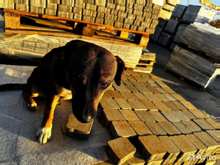 Тротуарная плитка вибропресс