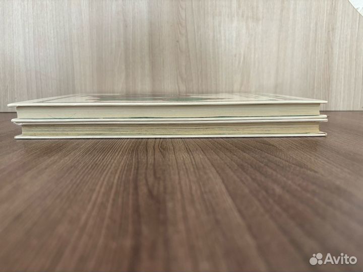 А. Торопцев. Книга Битв. Наполеон