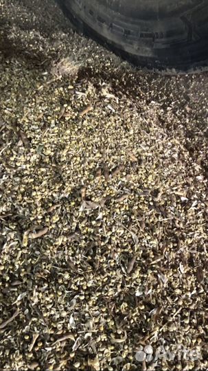 Отход от сои