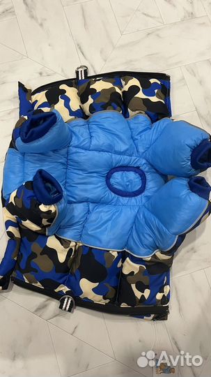 Одежда для собак