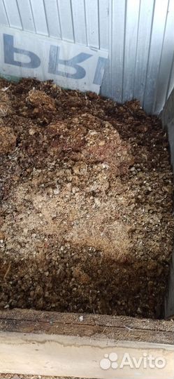 Навоз перепелов птичий. Удобрения бесплатно