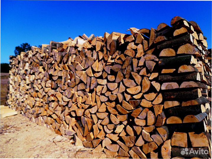 Дрова осиновые