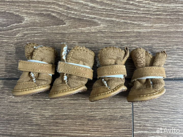 Одежда для собак