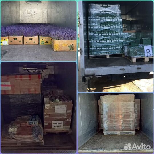 Грузоперевозки Рефрижератор