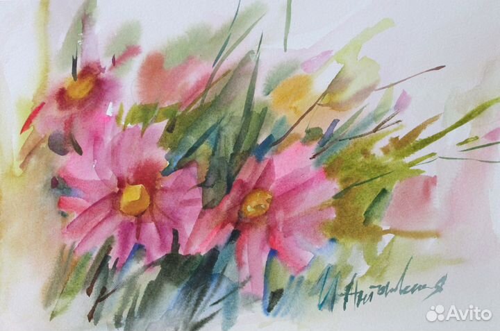 Космея. Акварель