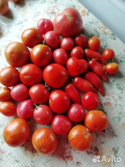 Огурцы помидоры домашние